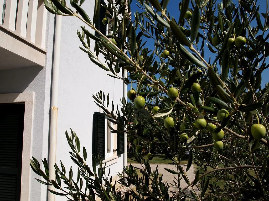 Villas Rab Palit 0*,  Croatia